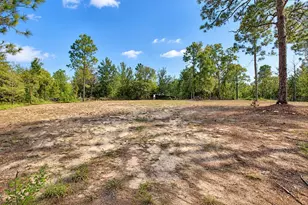 419 Lily Trail, Interlachen, FL 32148 - Photo 42