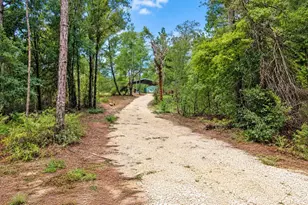 419 Lily Trail, Interlachen, FL 32148 - Photo 42