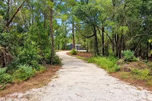419 Lily Trail, Interlachen, FL 32148 - Photo 6