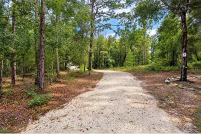 419 Lily Trail, Interlachen, FL 32148 - Photo 40