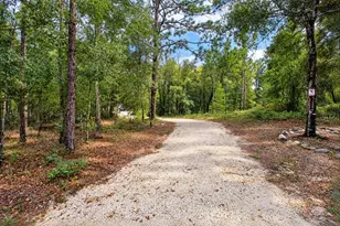 419 Lily Trail, Interlachen, FL 32148 - Photo 40