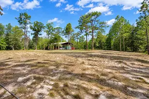 419 Lily Trail, Interlachen, FL 32148 - Photo 4