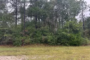 Tbd NE 77th Ct, Bronson, FL 32621 - Photo 1