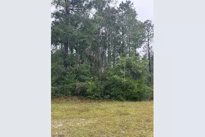 Tbd NE 77th Court, Bronson, FL 32621 - Photo 2