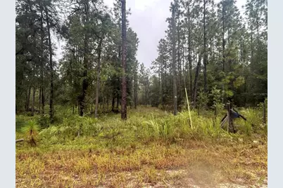 Tbd NE 111th Lane, Bronson, FL 32621 - Photo 2