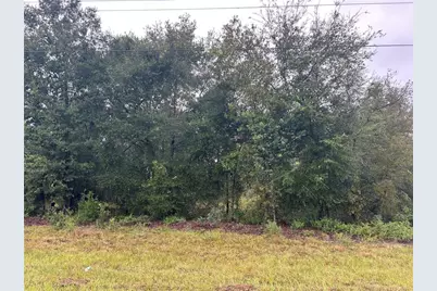 Tbd NE 110th Street, Bronson, FL 32621 - Photo 2