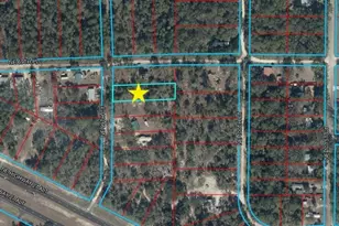 Lot 2 NE 99th Ct, Bronson, FL 32621 - Photo 1