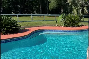 12820 NW 116th Pl, Alachua, FL 32615 - Photo 6