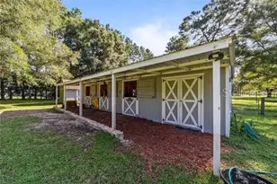 12820 NW 116th Pl, Alachua, FL 32615 - Photo 8