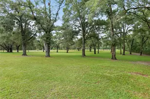7930 SE 86th Ave, Newberry, FL 32669 - Photo 70