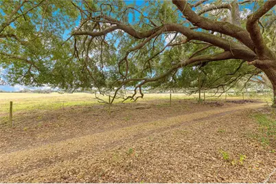 17187 SE 116th Court Road, Summerfield, FL 34491 - Photo 40