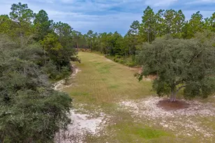 1730 NE 120th Ave, Williston, FL 32696 - Photo 64