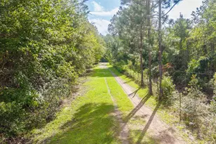 3583 NW 216th St, Lawtey, FL 32058 - Photo 14