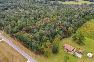 16414 N County Road 225, Gainesville, FL 32609 - Photo 4