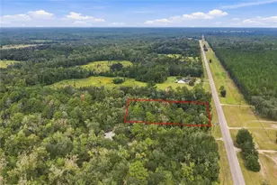 16414 N County Road 225, Gainesville, FL 32609 - Photo 6