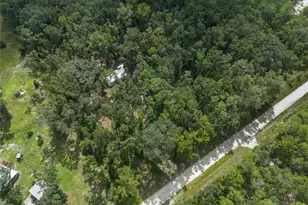 551 NE 354th Ave, Old Town, FL 32680 - Photo 62