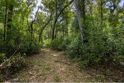 551 NE 354th Avenue, Old Town, FL 32680 - Photo 56