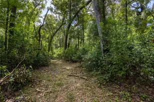 551 NE 354th Ave, Old Town, FL 32680 - Photo 56