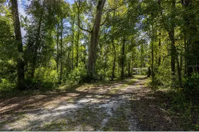 551 NE 354th Avenue, Old Town, FL 32680 - Photo 54