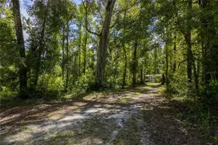 551 NE 354th Ave, Old Town, FL 32680 - Photo 54
