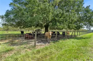 [Address not provided], Starke, FL 32091 - Photo 38