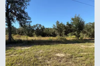Tbd NE 106th Terrace, Bronson, FL 32621 - Photo 2