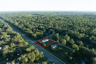 7990 Floral Ridge Cir, Keystone Heights, FL 32656 - Photo 50