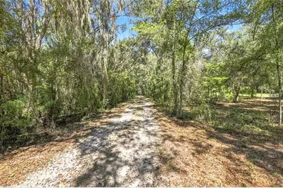 3877 SW Herlong Street, Fort White, FL 32038 - Photo 38