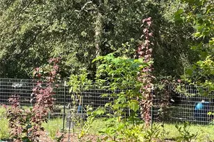 3877 SW Herlong St, Fort White, FL 32038 - Photo 34