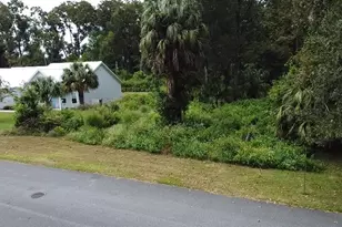 9239 Emily Dr, Fanning Springs, FL 32693 - Photo 1
