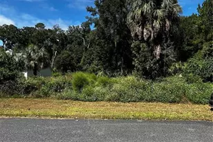 9239 Emily Dr, Fanning Springs, FL 32693 - Photo 1