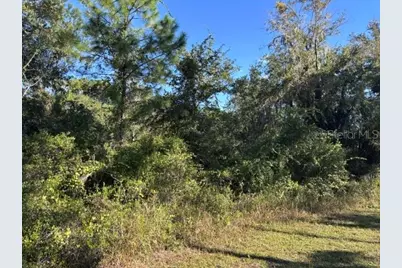 Lot 6 SW 105 Avenue, Cedar Key, FL 32625 - Photo 2