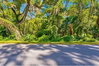 Ne 399th Street, Old Town, FL 32680 - Photo 2