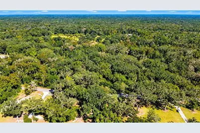 Ne 399th Street, Old Town, FL 32680 - Photo 6