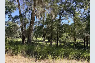 4251 NW 100th Avenue, Chiefland, FL 32626 - Photo 18