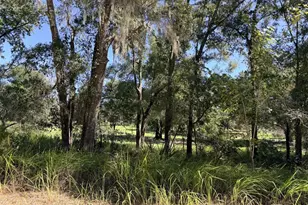 4251 NW 100 Ave, Chiefland, FL 32626 - Photo 18