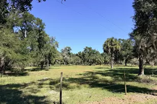 4251 NW 100 Ave, Chiefland, FL 32626 - Photo 4
