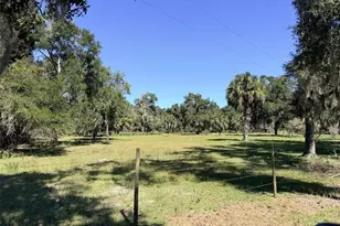 4251 NW 100 Ave, Chiefland, FL 32626 - Photo 20