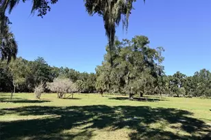 4251 NW 100 Ave, Chiefland, FL 32626 - Photo 24