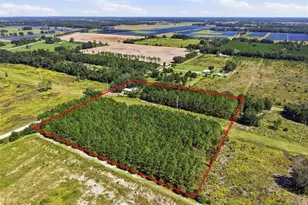 4550 NW 110th St, Chiefland, FL 32626 - Photo 48