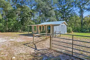 3228 SW Wilson Springs Rd, Fort White, FL 32038 - Photo 6