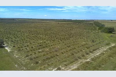 Lawrence Stewart Road, Frostproof, FL 33843 - Photo 14
