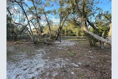 4020 Gasden Street, Lake Wales, FL 33859 - Photo 4