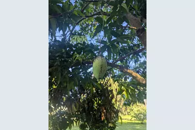 0 S Perry Avenue, Fort Meade, FL 33841 - Photo 8