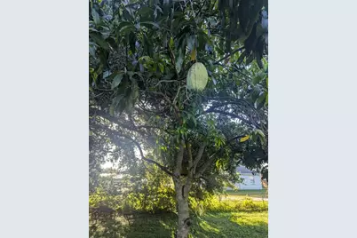 0 S Perry Avenue, Fort Meade, FL 33841 - Photo 6