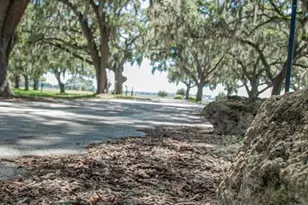 929 Carlton Ave, Lake Wales, FL 33853 - Photo 74