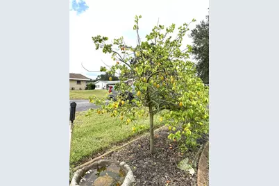 823 N Lake Reedy Boulevard, Frostproof, FL 33843 - Photo 36