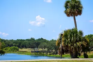 711 Springer Dr, Lake Wales, FL 33853 - Photo 40