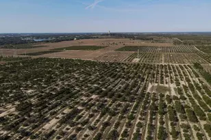 1015 Highland Crest Cir, Lake Wales, FL 33853 - Photo 48