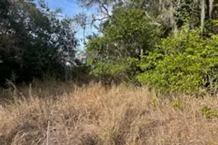 Sunset Trail, Babson Park, FL 33827 - Photo 1